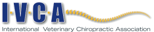IVCA_Logo-300x64