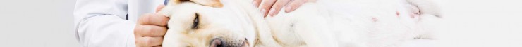 ault-chiropractic-banner-50